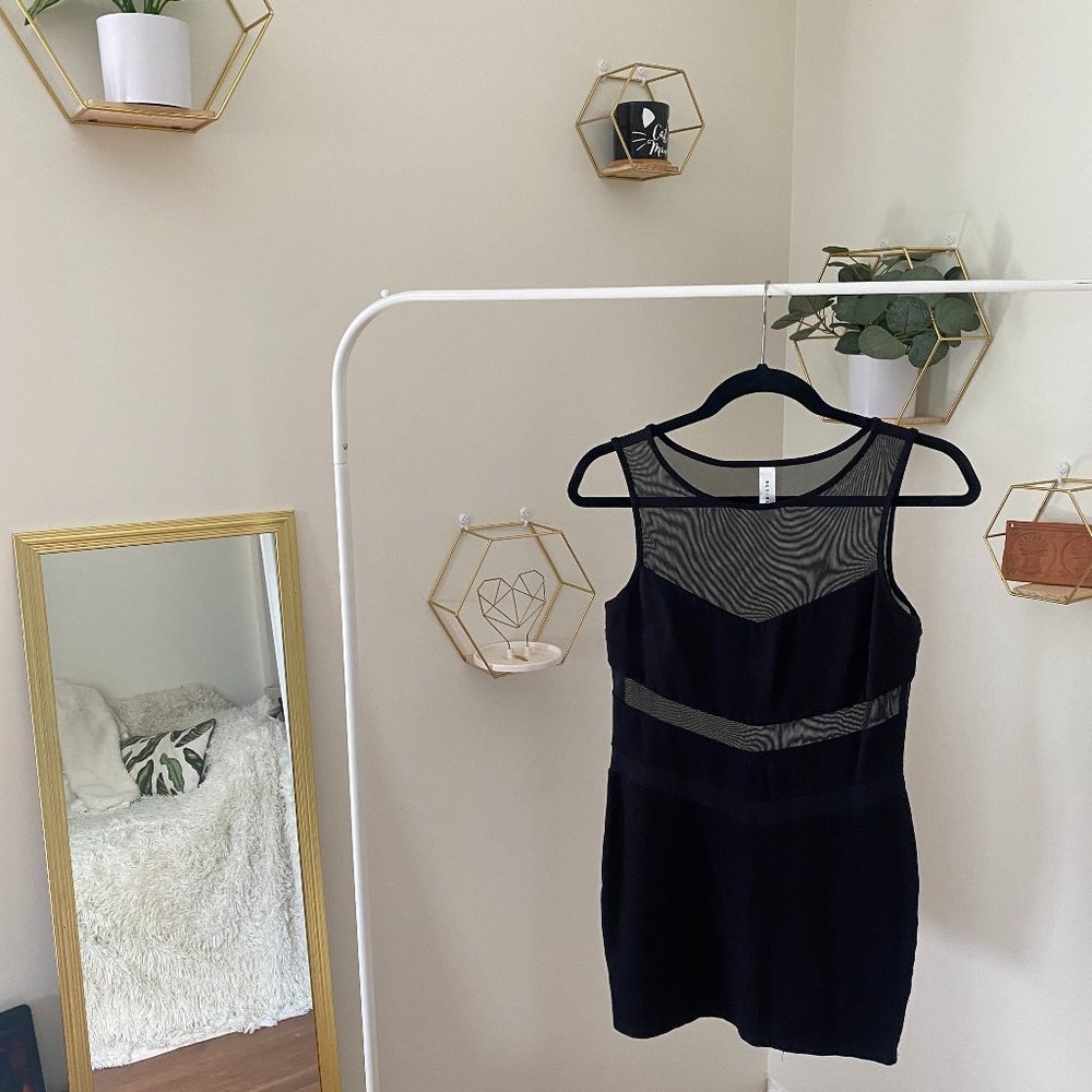Little Black Mesh Dress